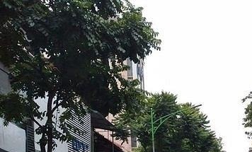 Bán ngay căn nhà phố 5 tầng có thang máy, diện tích 150m2