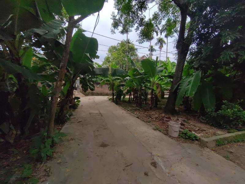Bán Đất An Thắng, Phường Biên Giang, Quận Hà Đông, Hà Nội 90m2 3 mặt tiền ngõ thông 3 ngả