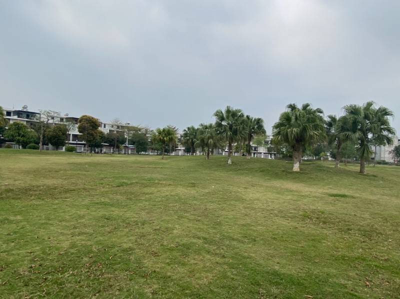 Bán đất liền kề Huyện Hoài Đức, Hà Nội 85m2 MT 5m, hướng Đông Nam