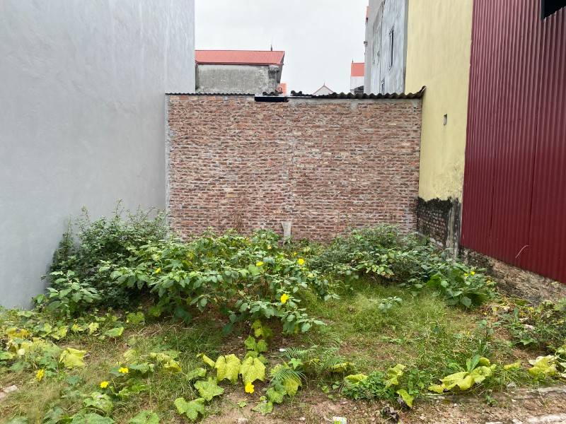 Bán Đất Diện tích 120m2 Hiệp Thuận - Phúc Thọ