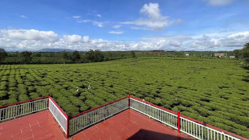 Bán đất biệt thự full thổ cư tại trung tâm Bảo Lộc - Lâm Đồng 300m2