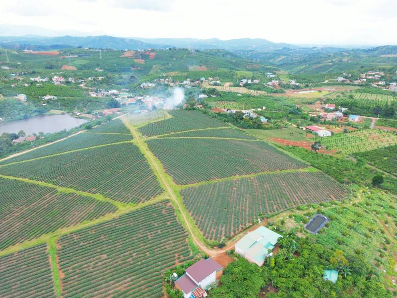 Bán đất 2.000m2 view đồi chè, suối đường xe hơi, Cách QL20 chỉ 2km