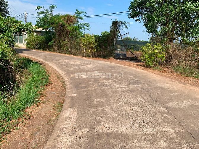Bán gấp đất thổ vườn nghỉ dưỡng Đường Bình Tiến Xuân Phú-Xuân Tây, Xã Bảo Hòa, Huyện Xuân Lộc, Đồng Nai