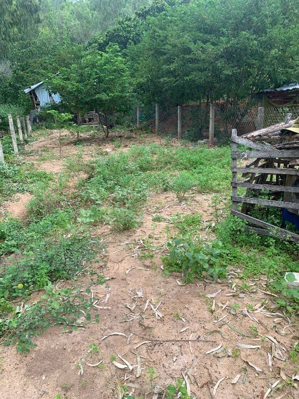 Chính Chủ Cần Bán Nhanh Lô Đất Du Lịch View Biển Bình Lập, Giá cực tốt