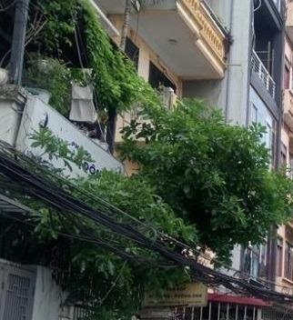 Cần tiền bán gấp nhà phố Mai Anh Tuấn, Đống Đa, Hà Nội
