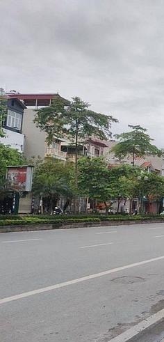 Chính chủ cần bán căn nhà mặt phố ở Đức Giang, Long Biên, Hà Nội