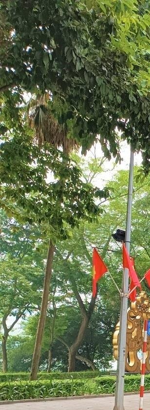 Bán gấp căn nhà mặt phố Quận Hoàn Kiếm giá 57.5 tỷ