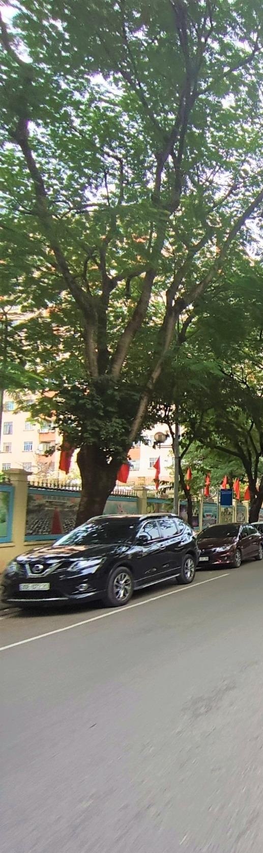 Bán nhà mặt phố đường Dương Khuê, Quận Cầu Giấy, Hà Nội có giá 14 tỷ 