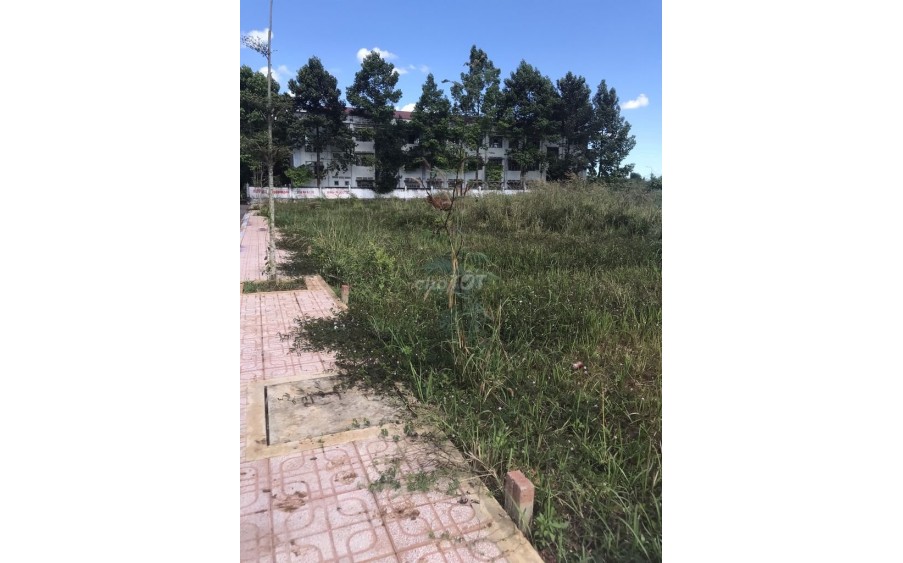 Bán đất ngộp, sổ hồng riêng tại Nhơn Trạch đồng nai full thổ cư