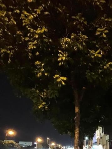 Bán gấp nhà phố Long Biên, Hà Nội giá 21,5 tỷ có thương lượng