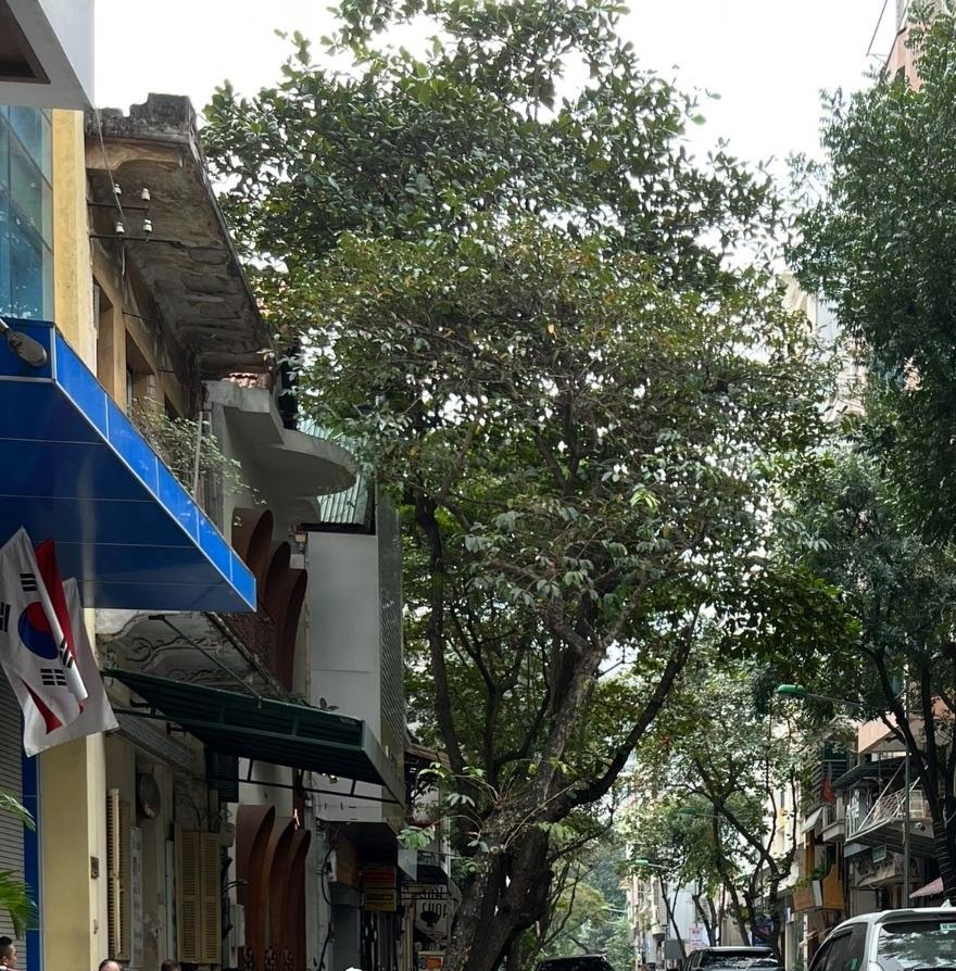 Bán nhanh nhà chính chủ mặt phố Triệu Việt Vương 72m2 giá 39 tỷ
