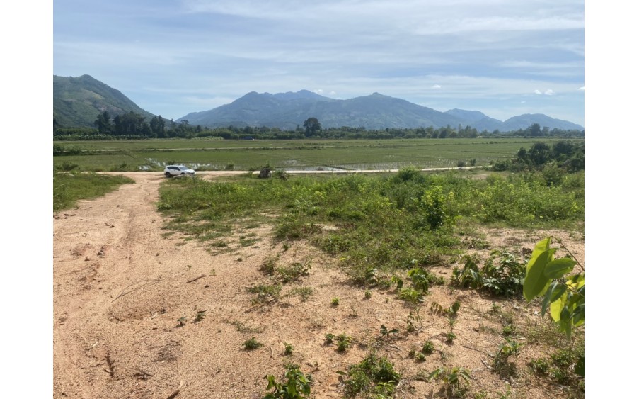 Bán Đất Đầu tư Suối Cát - Cam Lâm - Khánh Hòa 856m2 ~ 2.5 Tỷ