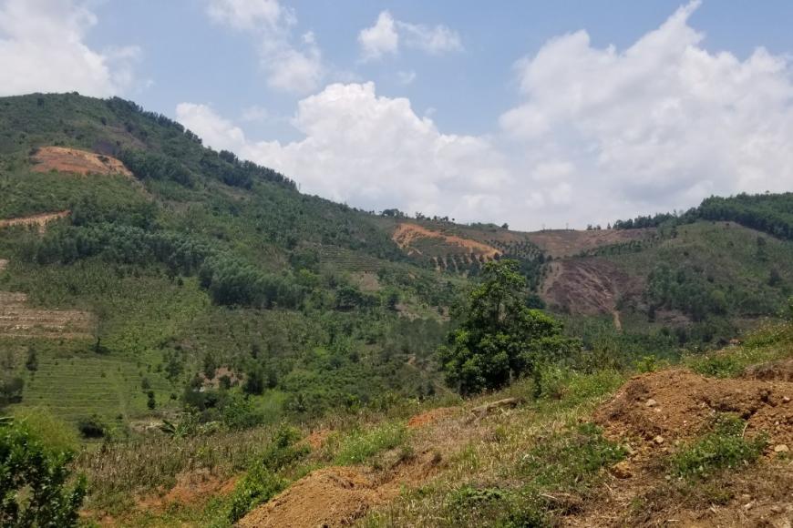 Cần bán đất Thị trấn Tô Hạp, Khánh Sơn, Khánh Hòa, giá đầu tư