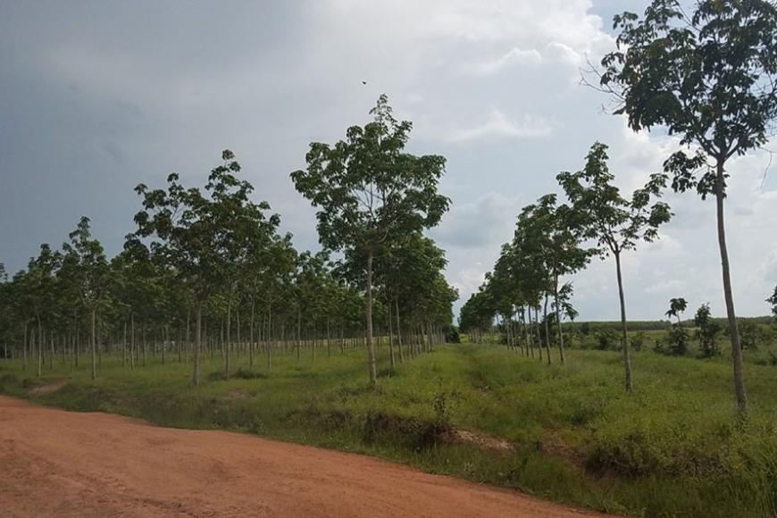Bán ngay, gấp 622.7 m2 gần đường 651E xã Xuân Sơn, Vạn Ninh