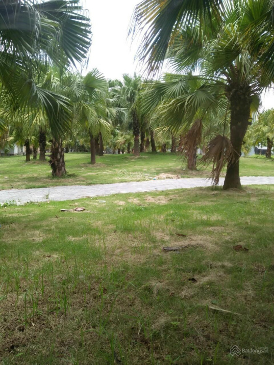 Bán đất khu đô thị Từ Sơn, Tân Hồng - Đông Ngàn, diện tích 100m2