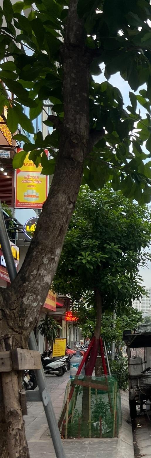Bán nhanh nhà mặt phố chính chủ quận Thanh Xuân giá 44 tỷ