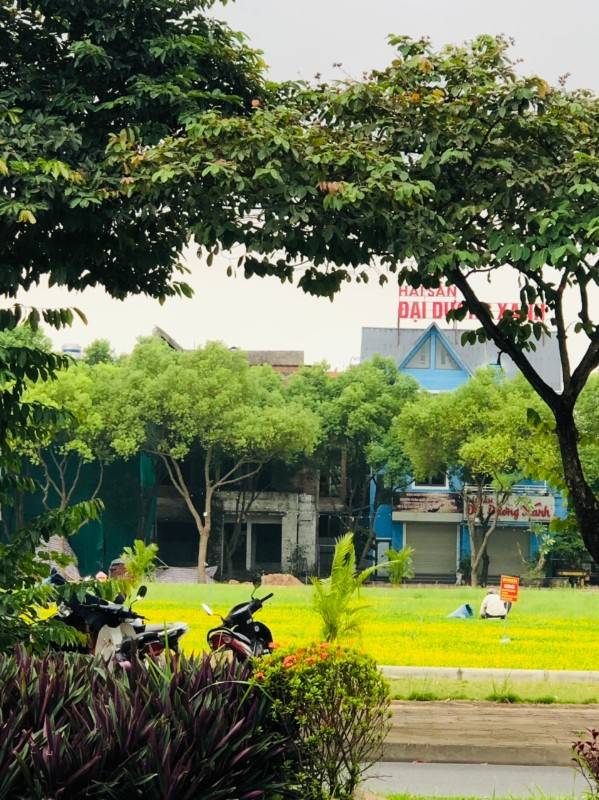 Bán nhanh lô đất tự xây biệt thự khu đô thị Việt Hưng, Long Biên, HN