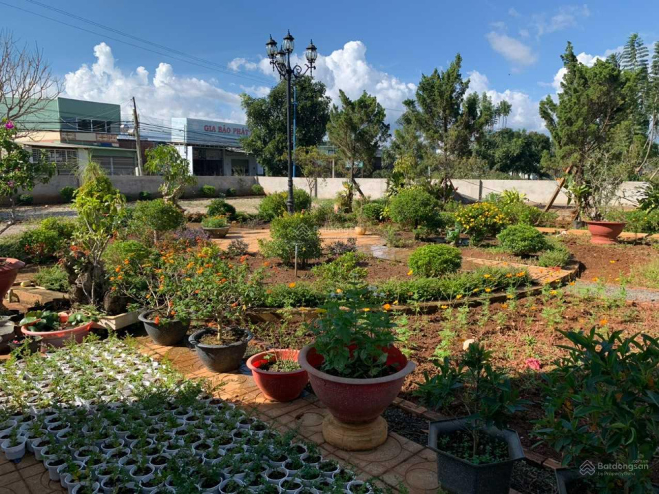 Cho thuê biệt thự diện tích 3000m2, Thị trấn Yên Nghĩa, Lâm Đồng