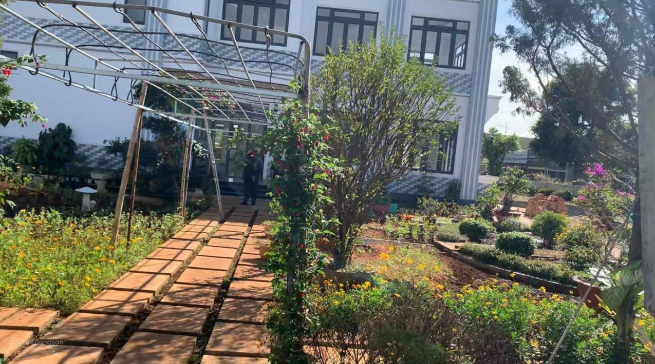 Cho thuê biệt thự diện tích 3000m2, Thị trấn Yên Nghĩa, Lâm Đồng