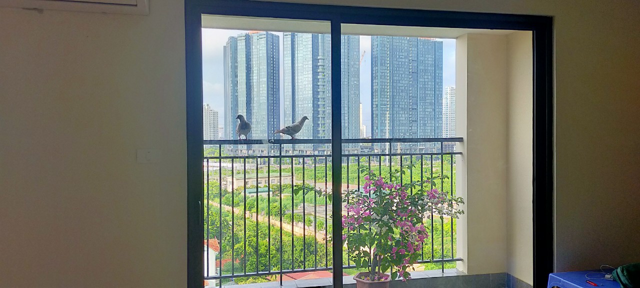 Cho thuê căn hộ chung cư Tây Hồ River View đường Thượng Thụy 92m2, 3PN có nội thất 11 triệu/tháng