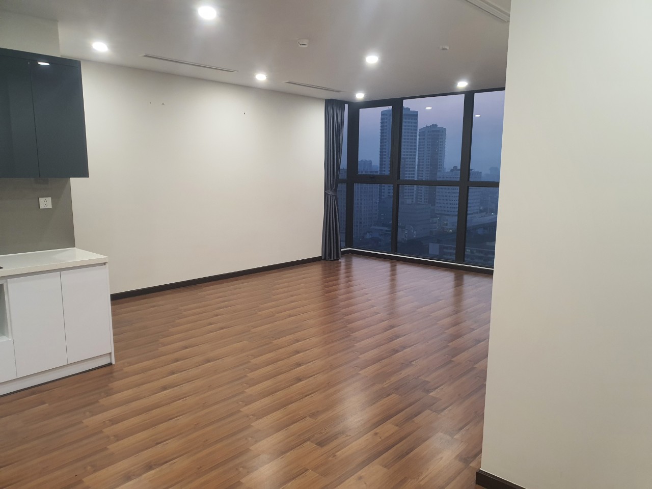 Cho thuê căn hộ 3 phòng ngủ tại tòa B1 chung cư Roman Plaza, Tố Hữu, Nam Từ Liêm.