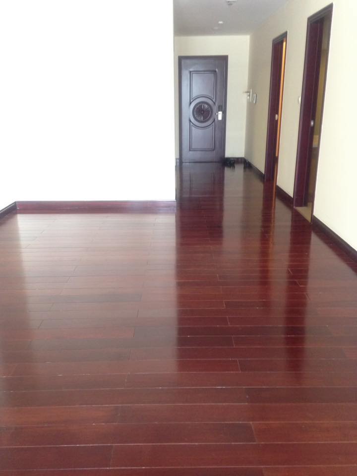 Cho thuê chung cư Hapulico Complex - Nguyễn Huy Tưởng cho thuê căn hộ 3 phòng ngủ đồ cơ bản nhà siêu thoáng đang trống vào luôn