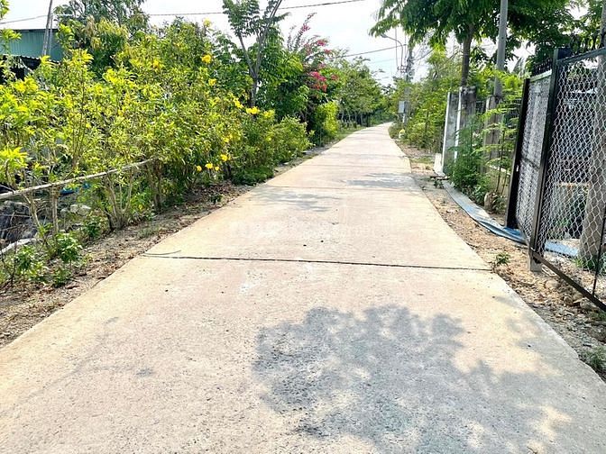 Cần bán 215m2 cây lâu năm Liên ấp 2-3,Hiệp Phước, Nhà Bè giá 850 triệu