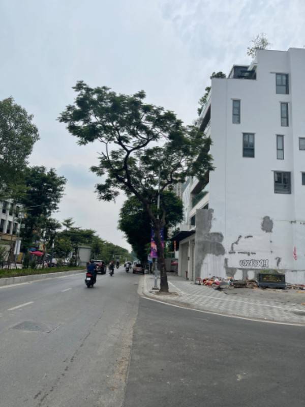 Cần Bán Lô Đất 236m Mặt Phố Lạc Long Quân Sát Dự Án Lotte Mart Hàn Quốc