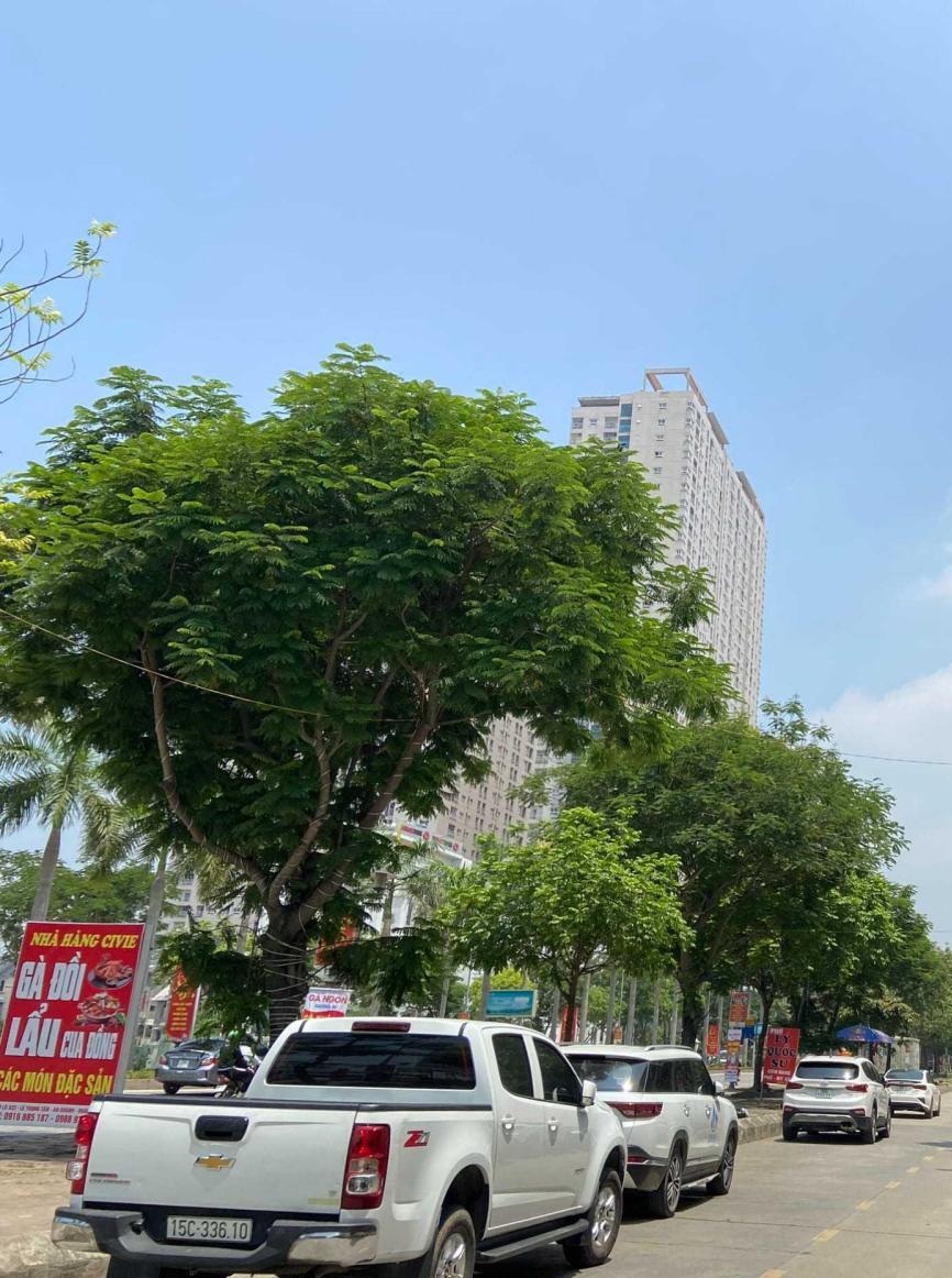 Chính chủ cần bán căn shophouse mặt đường Hà Đông, Hà Nội