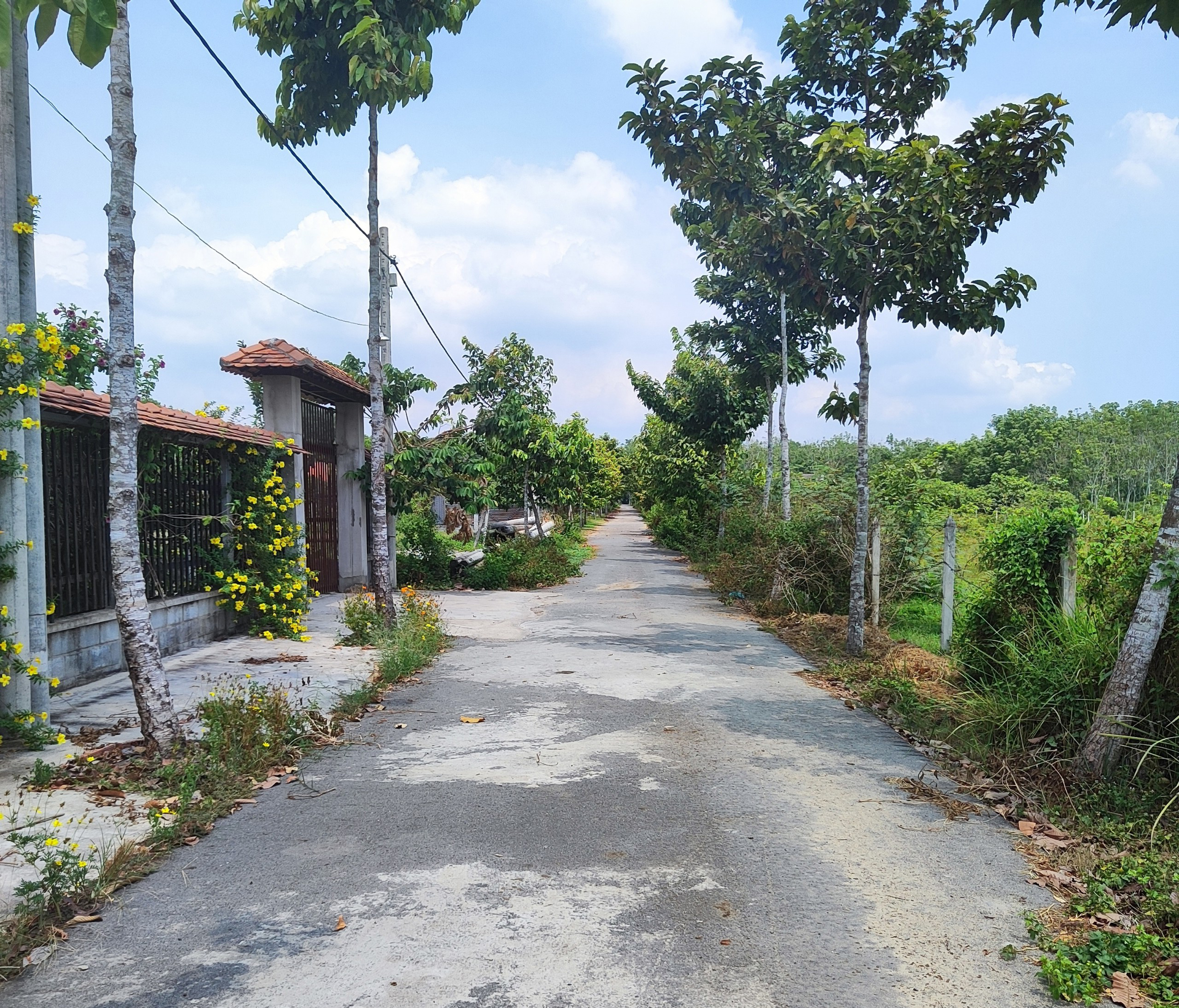 Chính chủ bán đất nền giá tốt Củ Chi