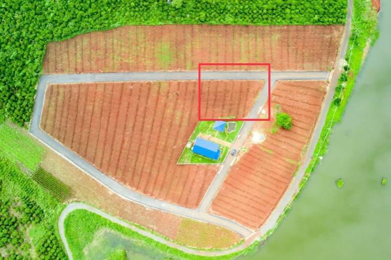 Bán đất 2 mặt tiền đẹp, trực diện sát mặt hồ Phúc Thọ Lâm Hà