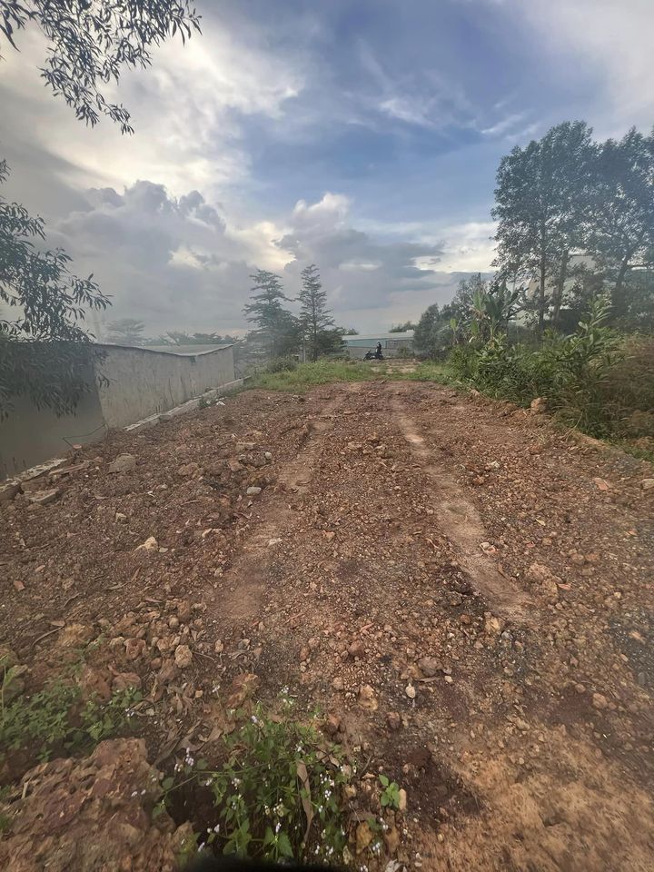 Bán đất Phường Tam Phước, thành phố Biên Hòa