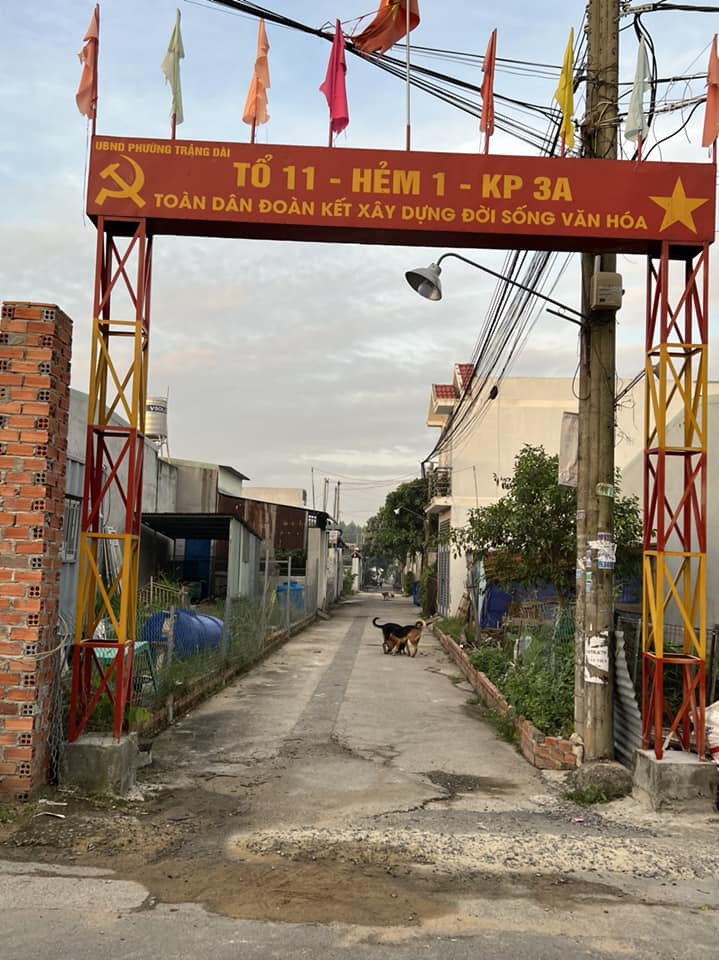 Bán 130 m2 đất hẻm Sơn Hằng, Trảng Dài, Biên Hoà