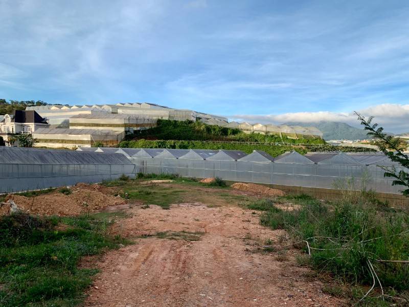 Bán đất mặt tiền Đa Phú, 550m2, 10,5 tỷ, Phường 7, TP Đà Lạt