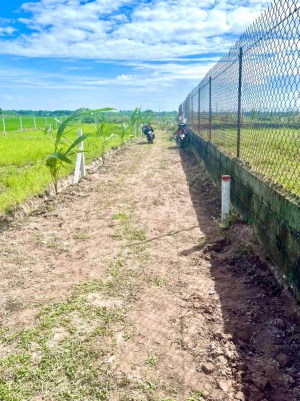 Cần Bán Miếng Đất Vườn Dưỡng Già. 315m2, Giá 520tr. Sổ Riêng