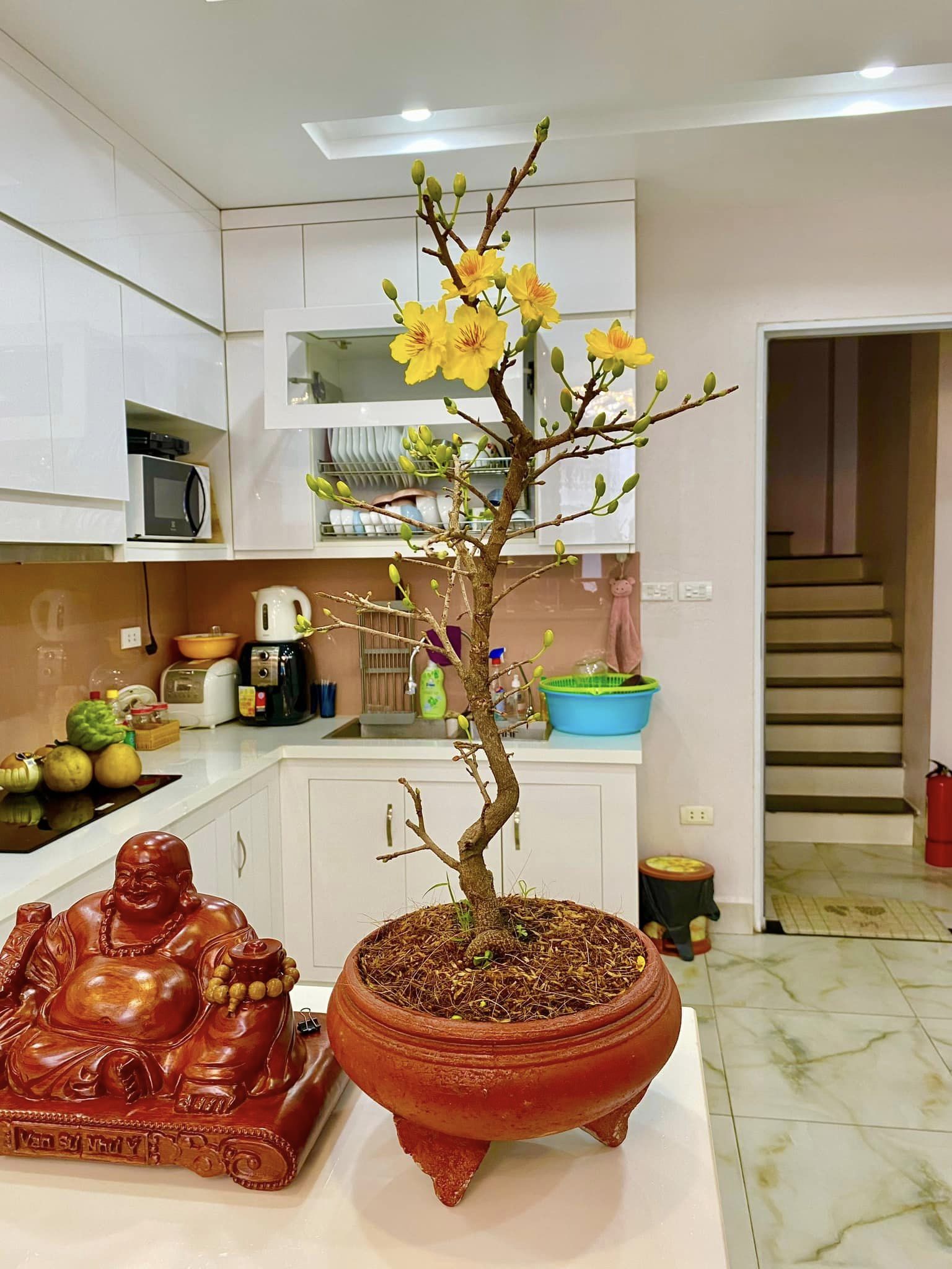 Bán nhà riêng ngõ 10 Tôn Thất Tùng, 45,6m2, 4T , Ô Tô Giá Chỉ 6,5 Tỷ