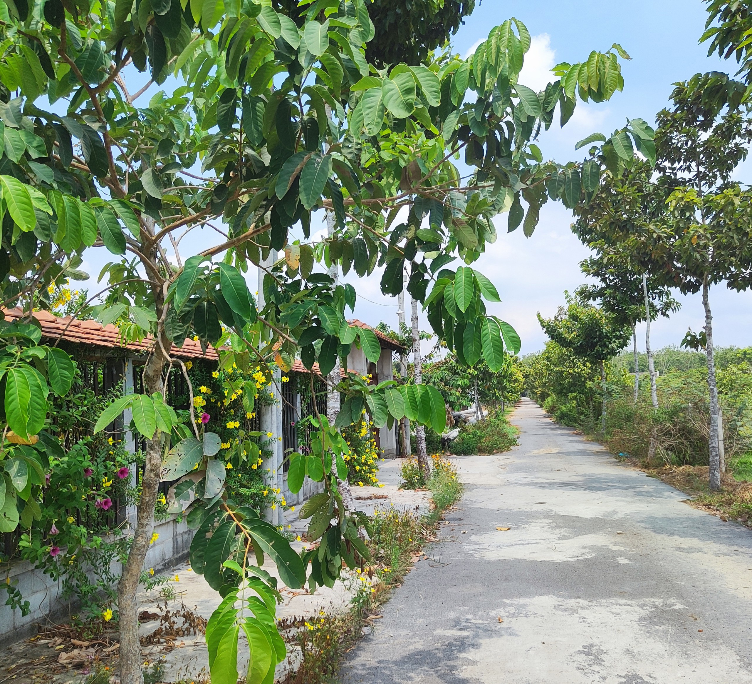 Chính chủ bán đất nền giá tốt Củ Chi