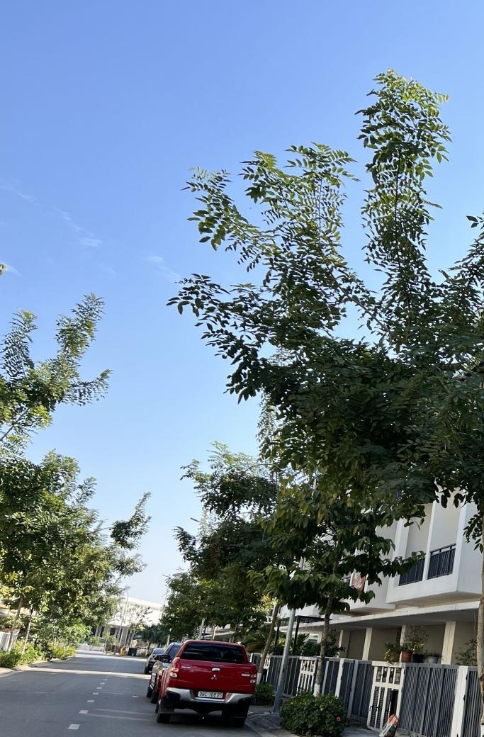 Bán nhanh nhà phố 3 tầng trong đại đô thị Belhomes giá hơn 3 tỷ