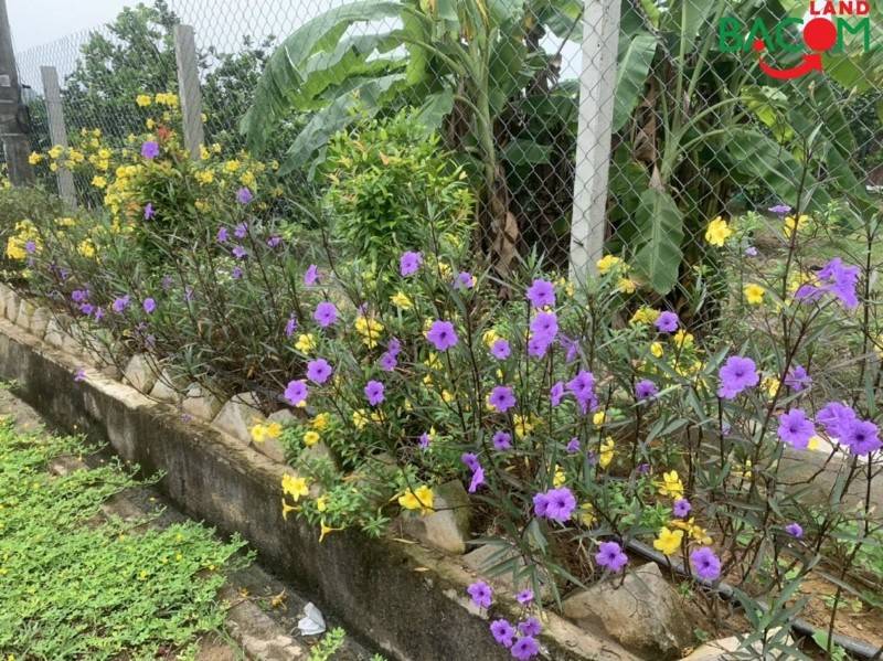Bán đất biệt thự đẹp 406m2,Xã Tân Bình,Vĩnh Cửu,Giá chỉ 3.4 tỷ,đg oto