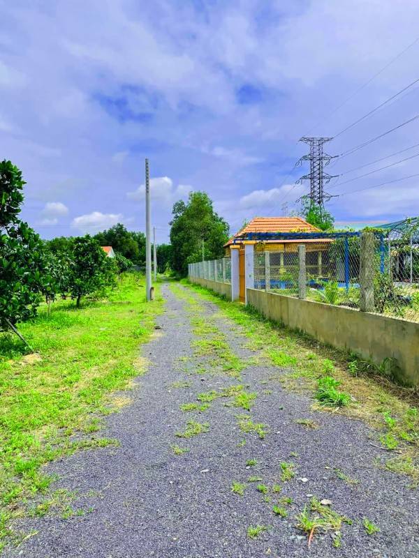 Bán lô đất đẹp làm nhà vườn gần Vành đai 3, Đường Bò Cạp Vàng, Xã Vĩnh Thanh, Huyện Nhơn Trạch, tặng vườn mít
