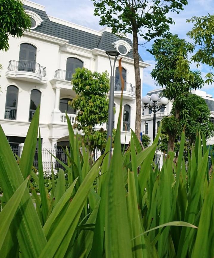 Bán nhanh shophouse thuộc dự án Vinhomes Star City Thanh Hóa