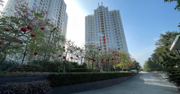 N03-T1 Ngoại Giao Đoàn