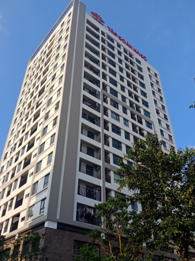 CC1 Hà Đô Parkside