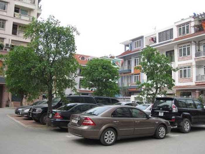 6 Đội Nhân
