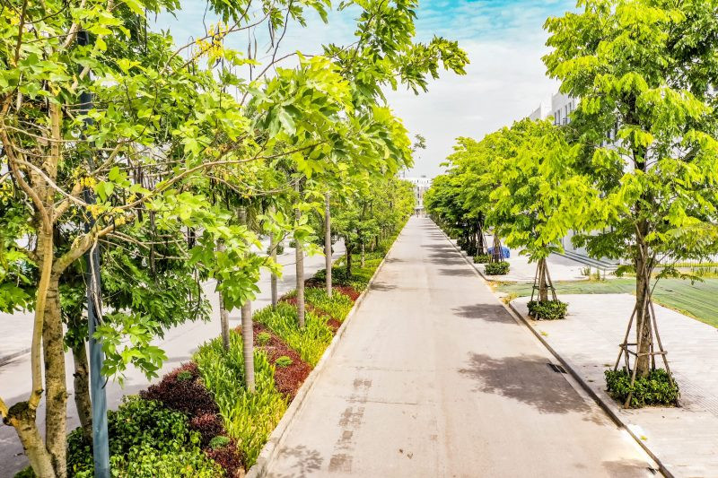 The Manor Central Park Villas